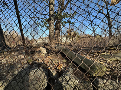 Remains of the Old Mill Bathing Beach, Paramus, NJ
