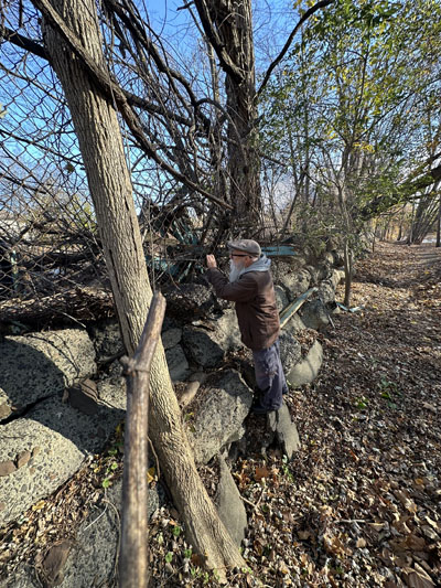 Remains of the Old Mill Bathing Beach, Paramus, NJ