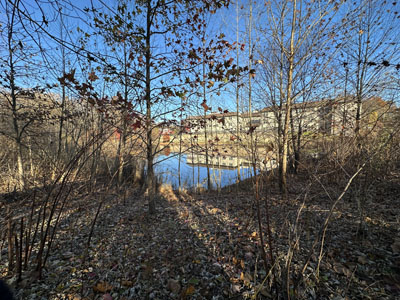 Remains of the Old Mill Bathing Beach, Paramus, NJ