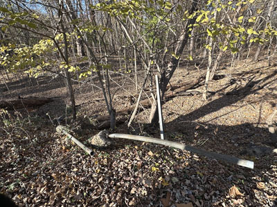 Remains of the Old Mill Bathing Beach, Paramus, NJ