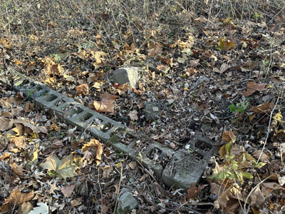 Remains of the Old Mill Bathing Beach, Paramus, NJ